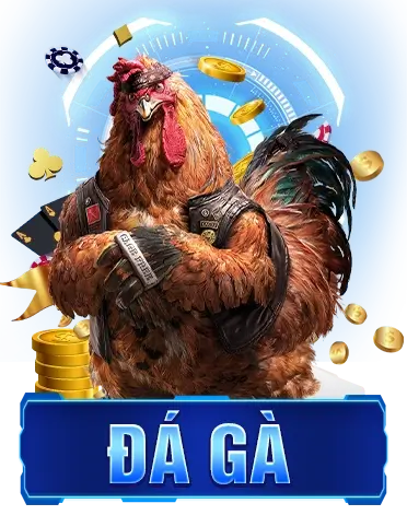 HÌNH ẢNH vf555.co